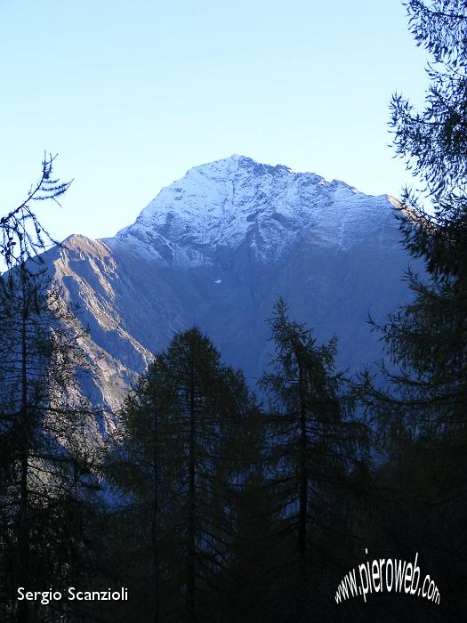 0018 La cima del Legnone dal bosco del secondo tratto.JPG